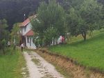 Kliknite za večjo sliko